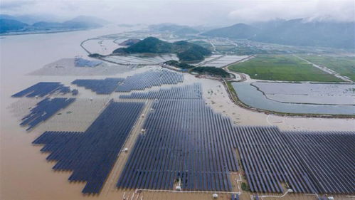 中国耗资8.19亿打造水上工程 太阳能板被扔在水面,1年发电2亿度